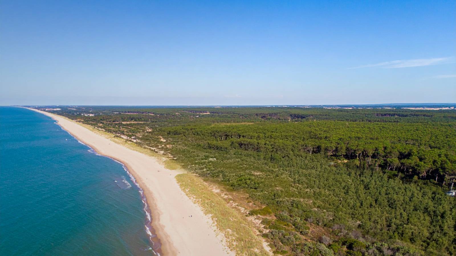 plage-fromentine-th